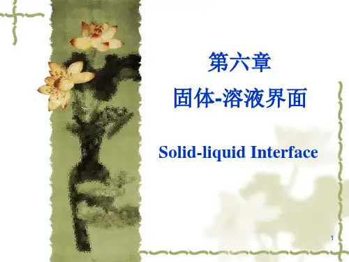 第6章  固体-溶液界面