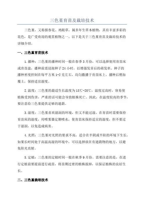 三色堇育苗及栽培技术