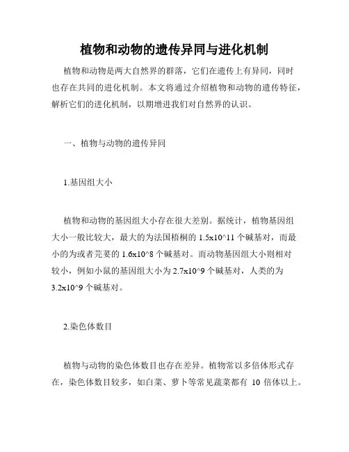 植物和动物的遗传异同与进化机制