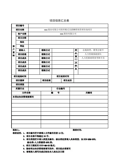 项目信息汇总表模板