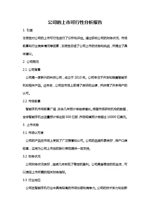 公司的上市可行性分析报告