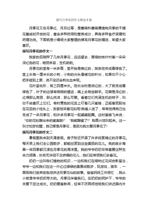 描写月季花的作文精选5篇_小学四年级作文_