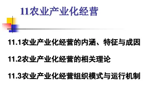 农业经济学11农业产业化经营概要