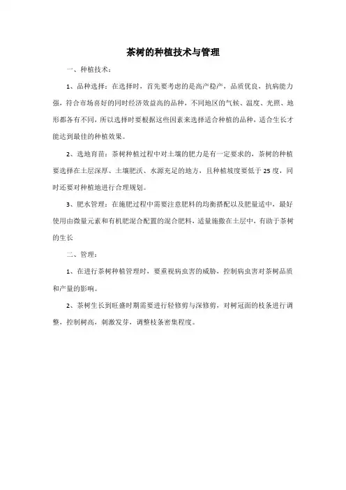 茶树的种植技术与管理