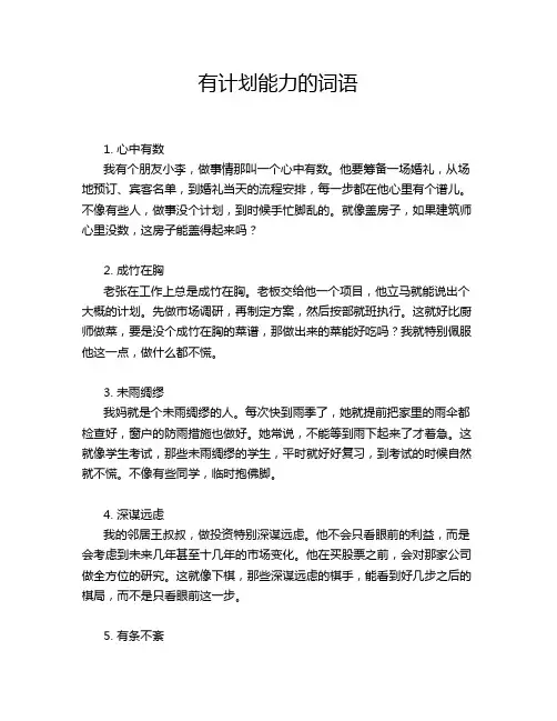 有计划能力的词语