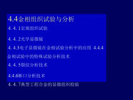金相组织试验与分析课件 