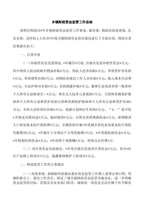乡镇财政资金监管工作总结