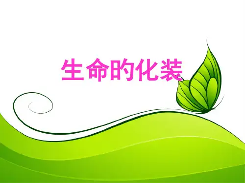 生命的化妆获奖课件