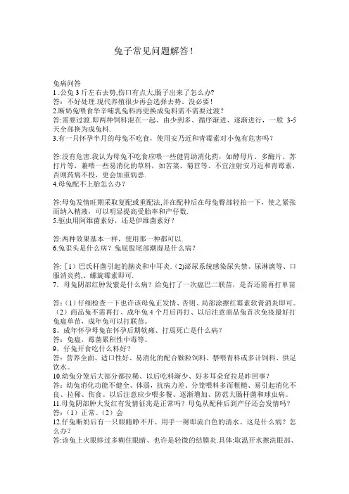 兔子常见问题解答