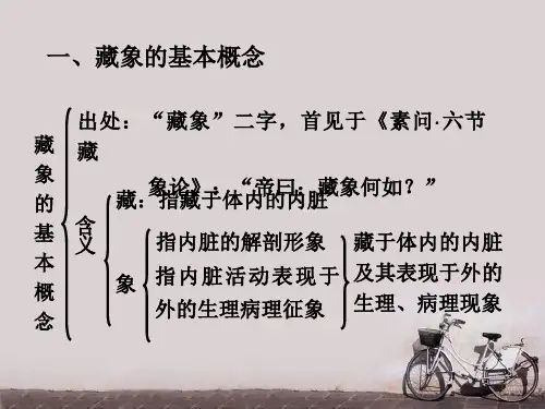 藏象(图表)  PPT课件