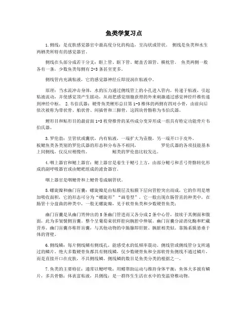 鱼类学复习点