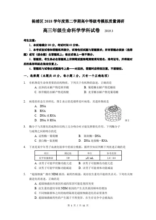 2019届普陀区高考生物二模