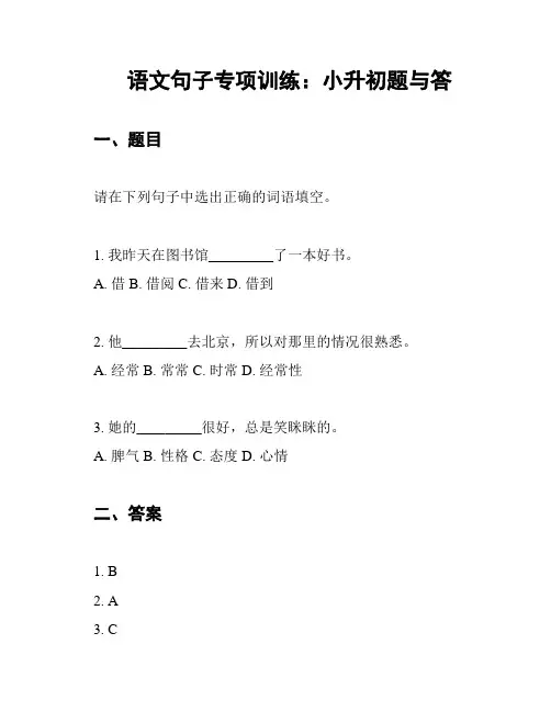 语文句子专项训练：小升初题与答