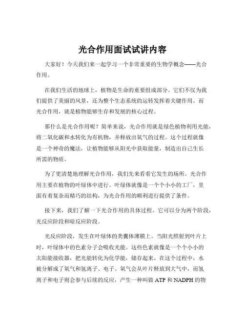 光合作用面试试讲内容