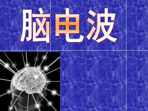 物理报告——脑电波