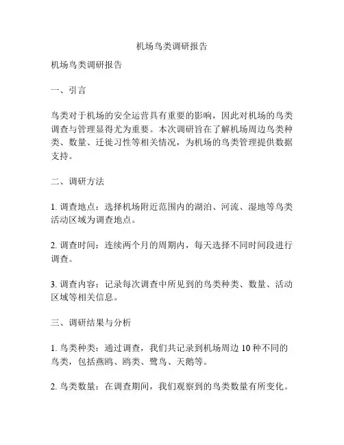 机场鸟类调研报告