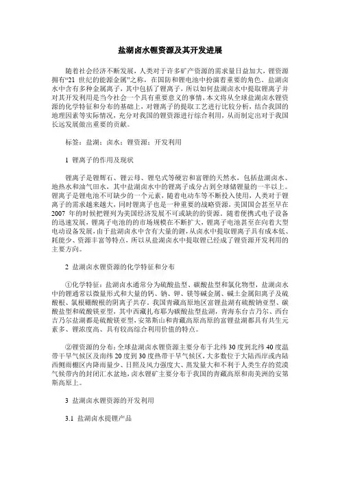 盐湖卤水锂资源及其开发进展