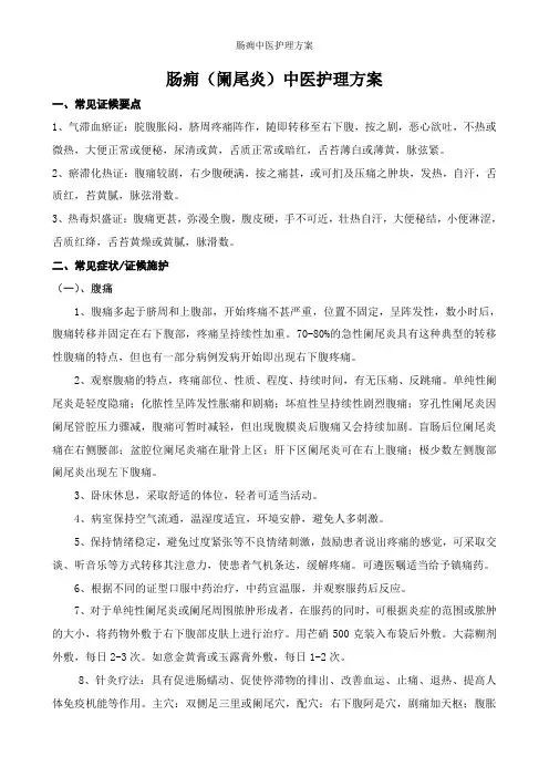 肠痈中医护理方案