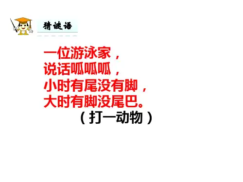 部编版《小青蛙》优秀课件1