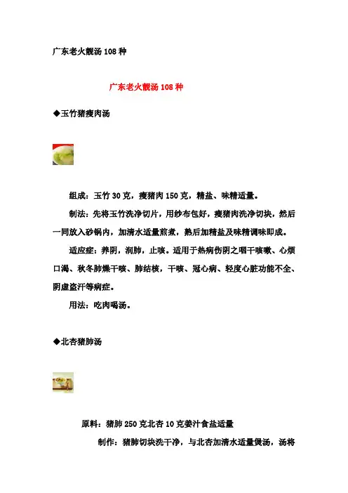 广东老火靓汤108种