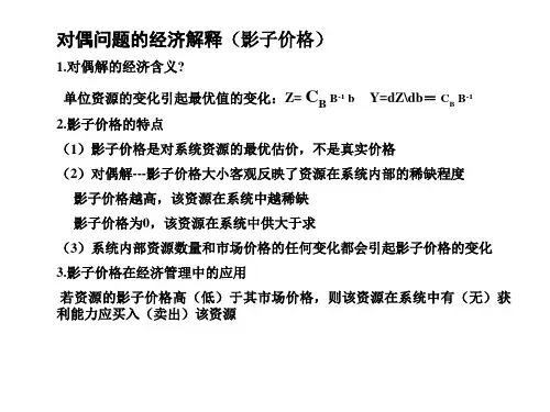 影子价格问题