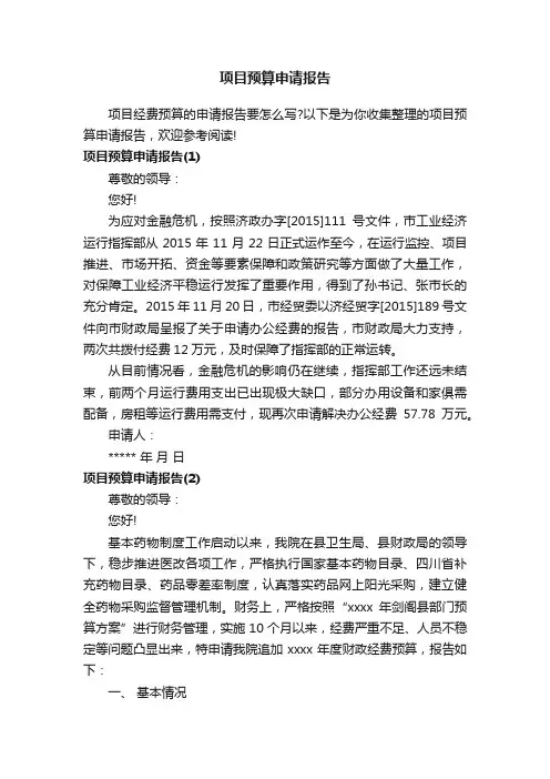 项目预算申请报告