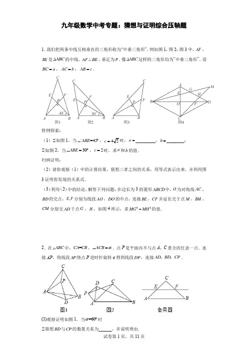 含答案 数学中考专题：猜想与证明综合压轴题