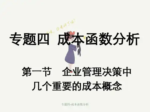专题四-成本函数分析