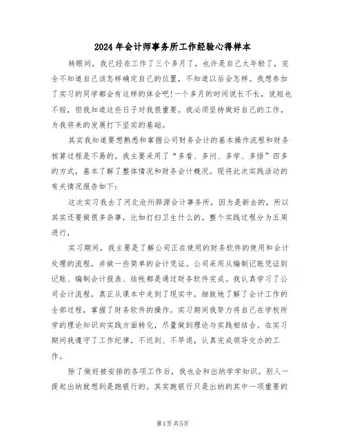 2024年会计师事务所工作经验心得样本(2篇)