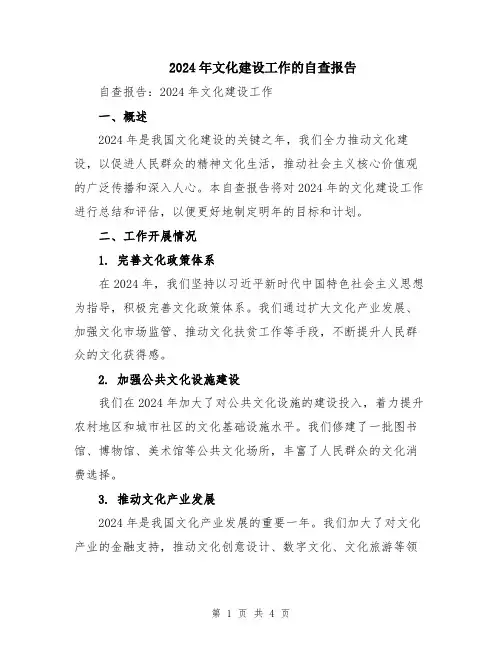 2024年文化建设工作的自查报告