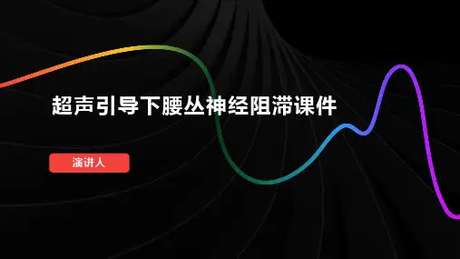 超声引导下腰丛神经阻滞课件