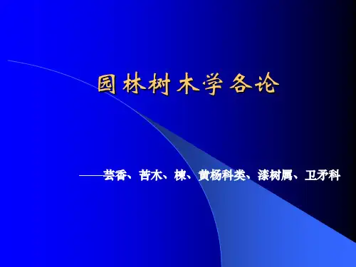 园林树木学各论