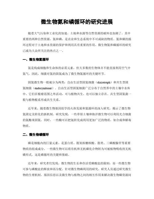 微生物氮和磷循环的研究进展