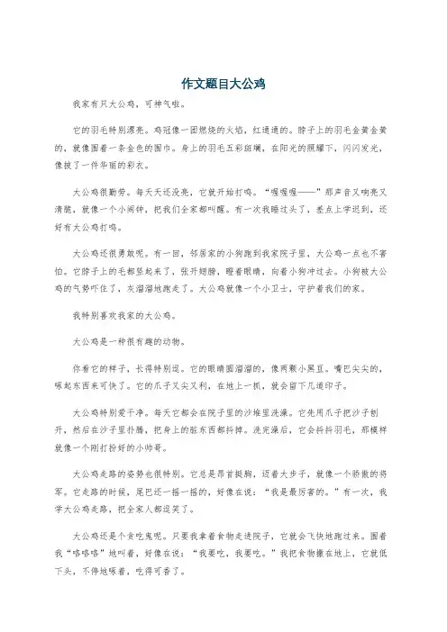 作文题目大公鸡