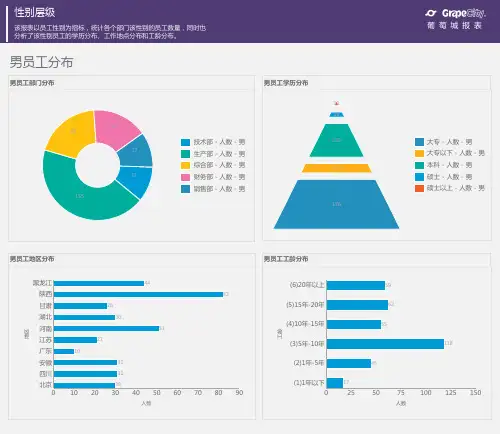 性别层级-组合图表报表