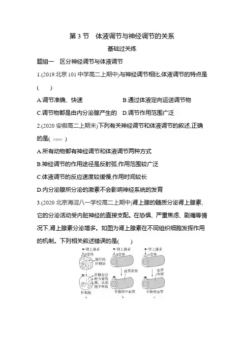 高中生物(新人教版)选择性必修一同步习题：体液调节与神经调节的关系(同步习题)【含答案及解析】