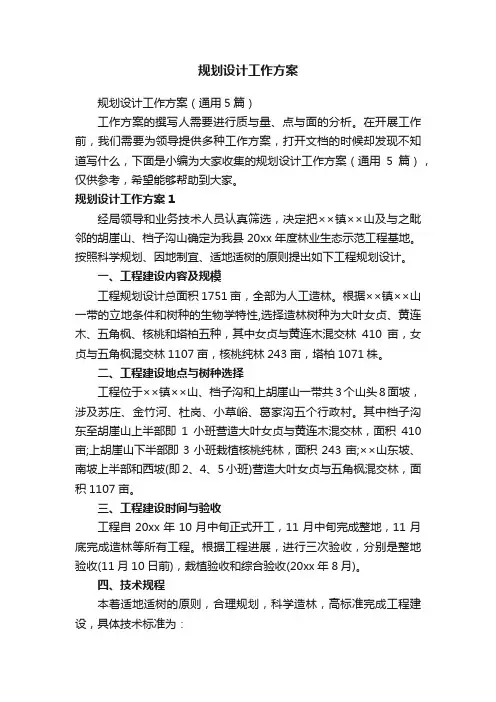 规划设计工作方案（通用5篇）