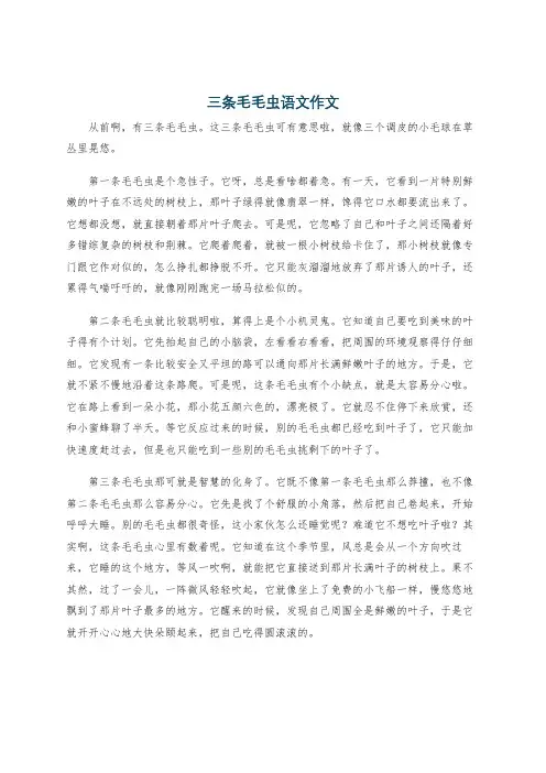 三条毛毛虫语文作文