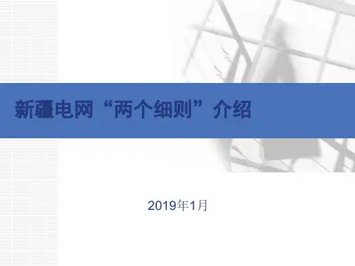 新疆电网“两个细则”介绍(电厂)