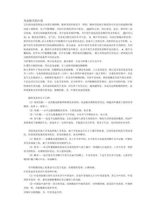 变态根茎的区别