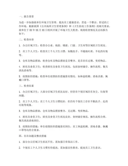 检查卫生总结报告范文