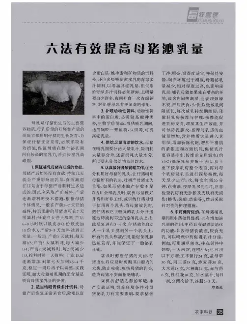 六法有效提高母猪泌乳量