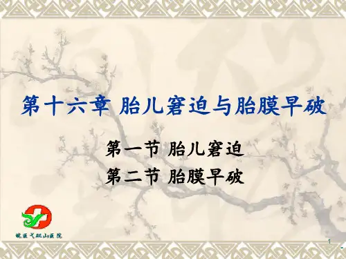 胎儿窘迫与胎膜早破课件