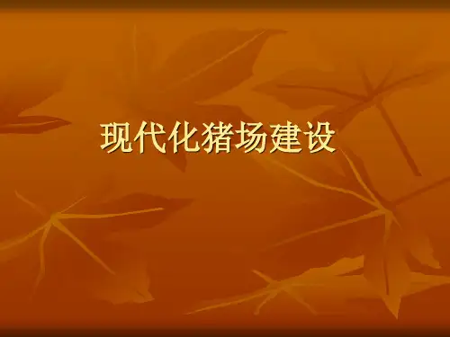 现代化猪场建设与管理