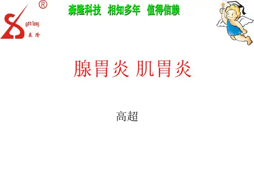 腺胃炎-肌胃炎