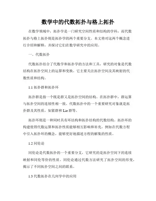 数学中的代数拓扑与格上拓扑