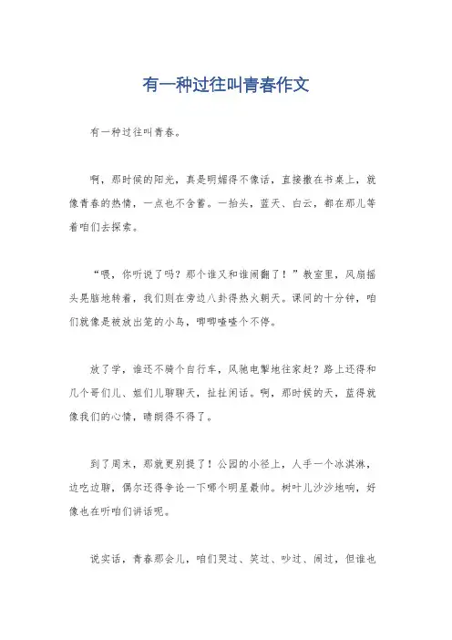 有一种过往叫青春作文