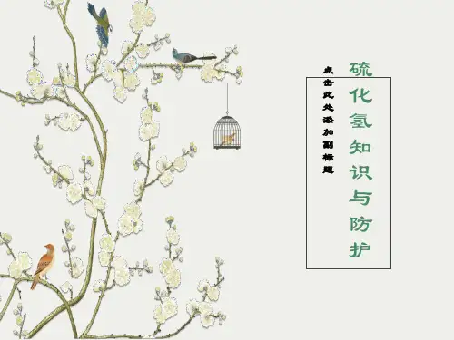 硫化氢基本知识与防护