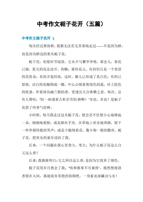 中考作文栀子花开(五篇)