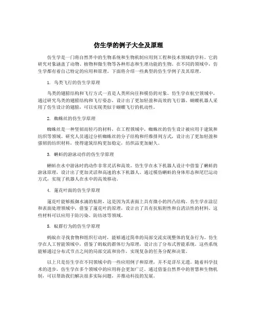 仿生学的例子大全及原理